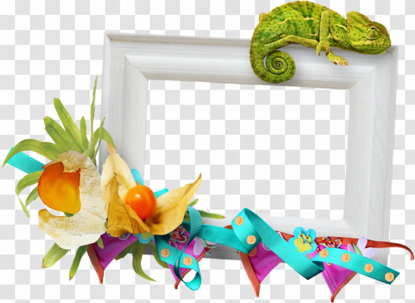Picture Frames Organism - Bae Transparent PNG