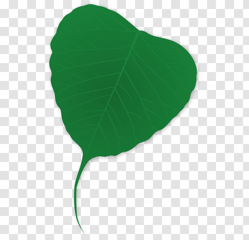 Leaf Plant Tree Green - Shading Clipart Transparent PNG