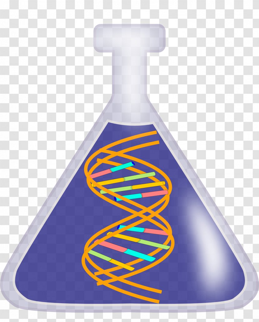 DNA Nucleic Acid Double Helix Clip Art - Molecular Biology - Science Transparent PNG