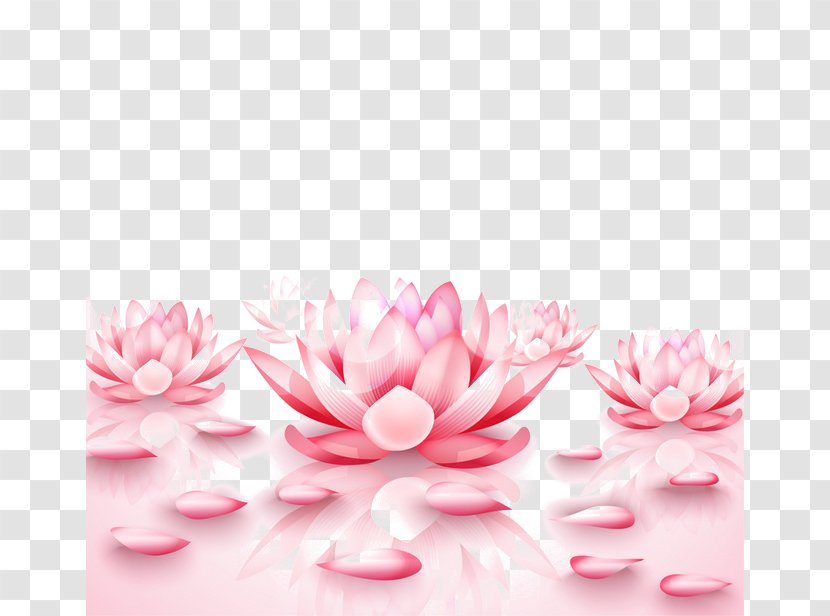 Nelumbo Nucifera Pixel Wallpaper - Floral Design - Pink Water Lilies Transparent PNG