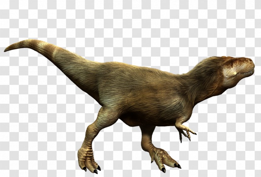 Tyrannosaurus Albertosaurus Tarbosaurus Megalosaurus Guanlong - Giganotosaurus - T Rex Transparent PNG