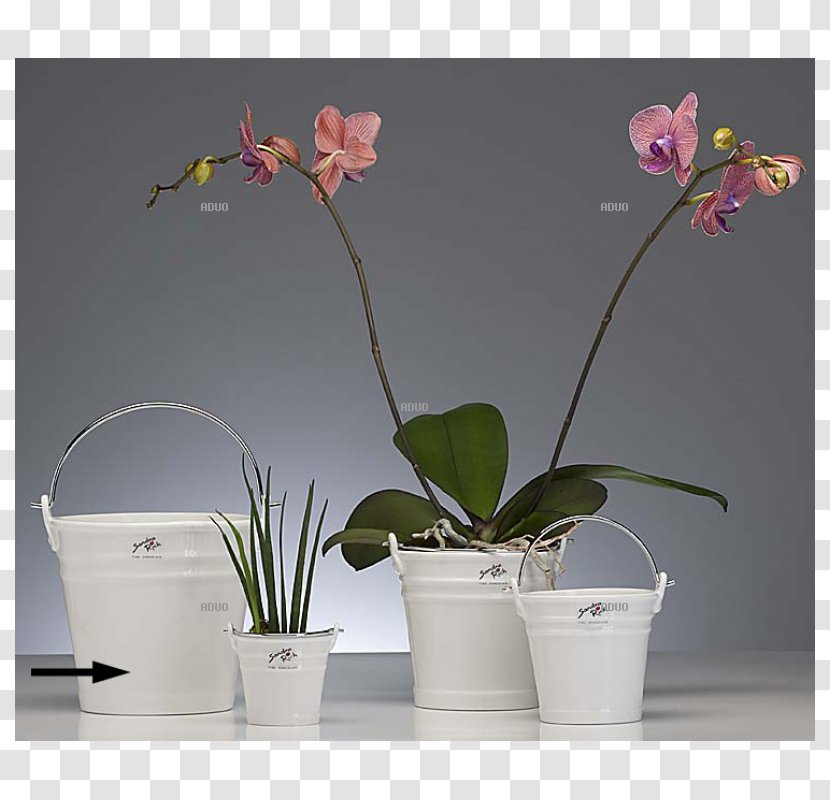 Flowerpot Bucket Porcelain Plate Cone - Plant Stem Transparent PNG