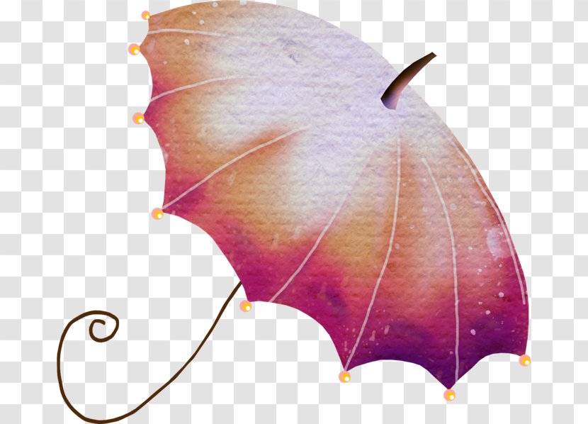 Umbrella Clip Art - Picture Frame - Pink Transparent PNG