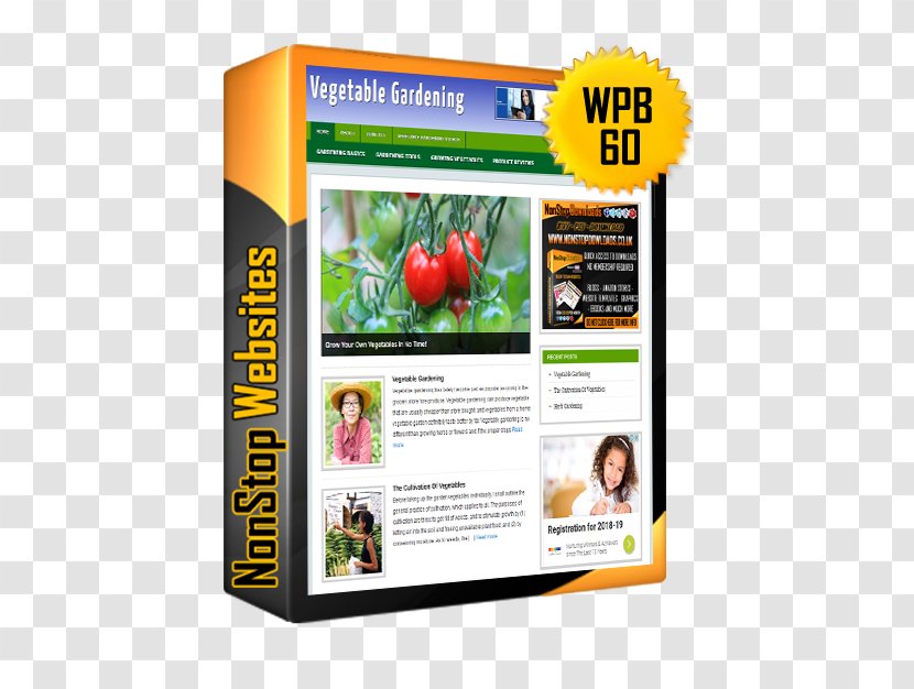 Turnkey Business Drop Shipping Marketing Sales - Industry - Vegetables Shop Transparent PNG