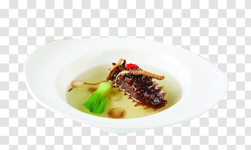 Sea Cucumber As Food Soup Caterpillar Fungus Simmering - Cordyceps Stew Transparent PNG