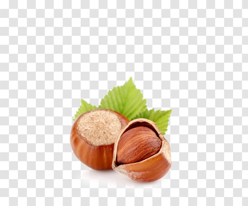 Hazelnut Dried Fruit Almond Walnut - Ingredient Transparent PNG