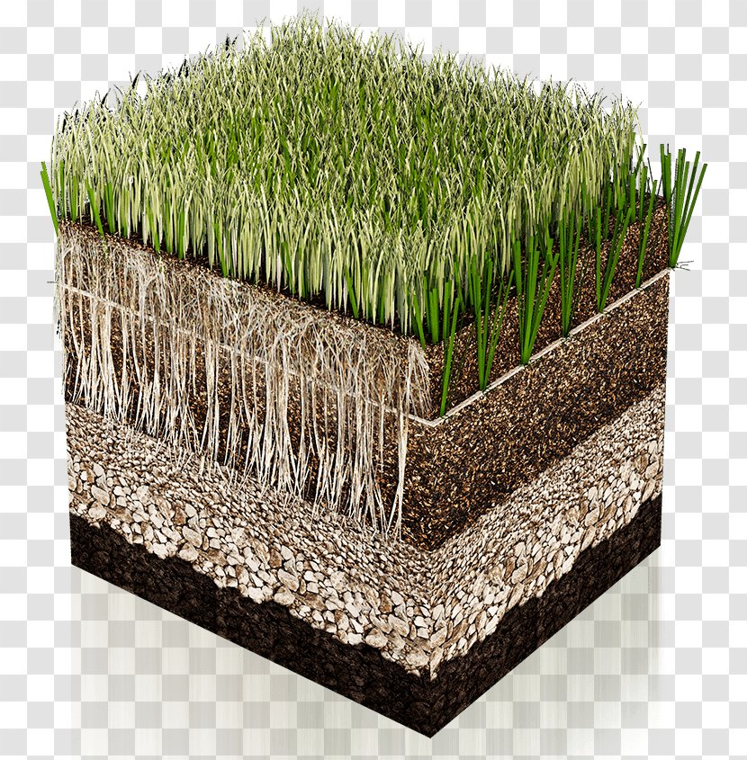 Artificial Turf Lawn Hybrid Grass Carpet Grassland - Natural Environment Transparent PNG