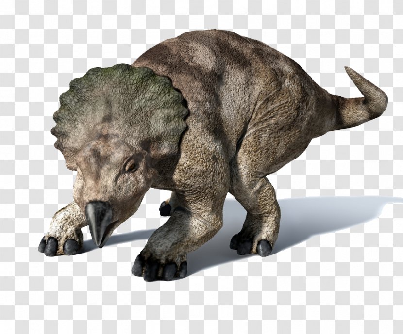 Protoceratops Triceratops Psittacosaurus Pentaceratops Velociraptor - Dinosaur Transparent PNG