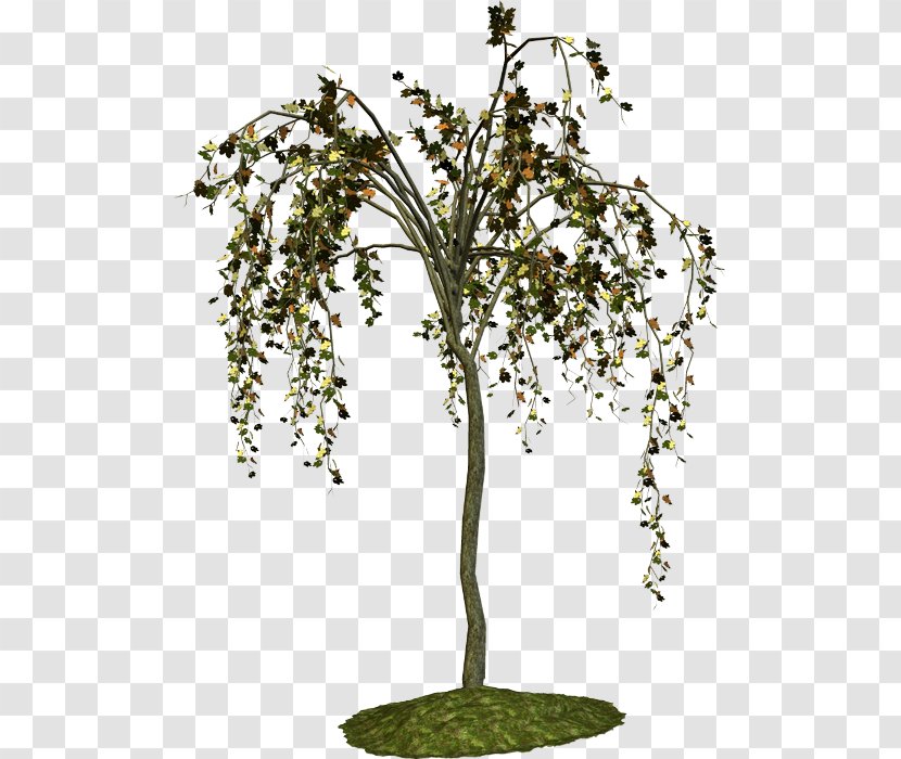 Plant Stem Birch Shrub Tree - Silhouette - Heart Transparent PNG