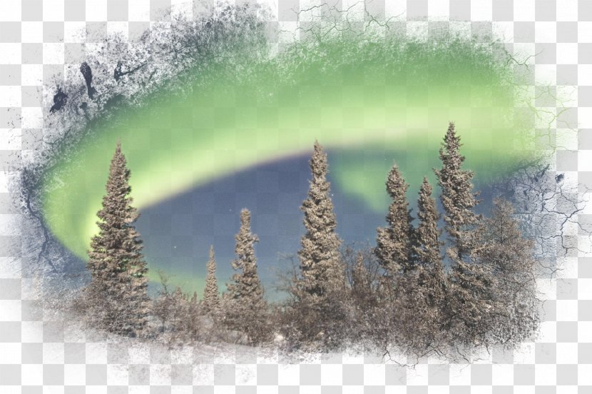 Desktop Wallpaper Boreal Forest Of Canada Bingxue Big World Environment - Winter - Beautiful Landscape Transparent PNG