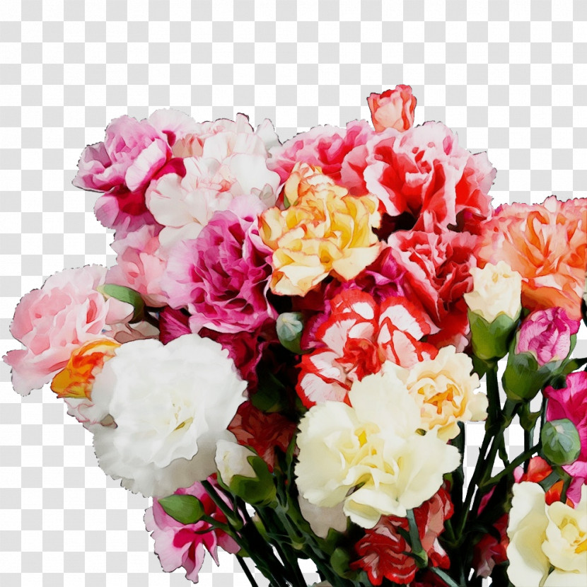 Garden Roses Transparent PNG