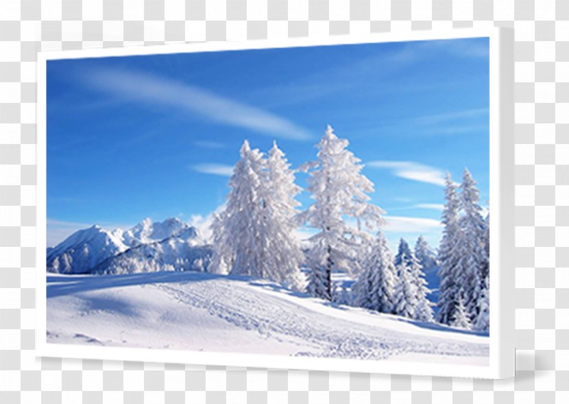 Desktop Wallpaper Display Resolution Winter High-definition Television - Freezing Transparent PNG