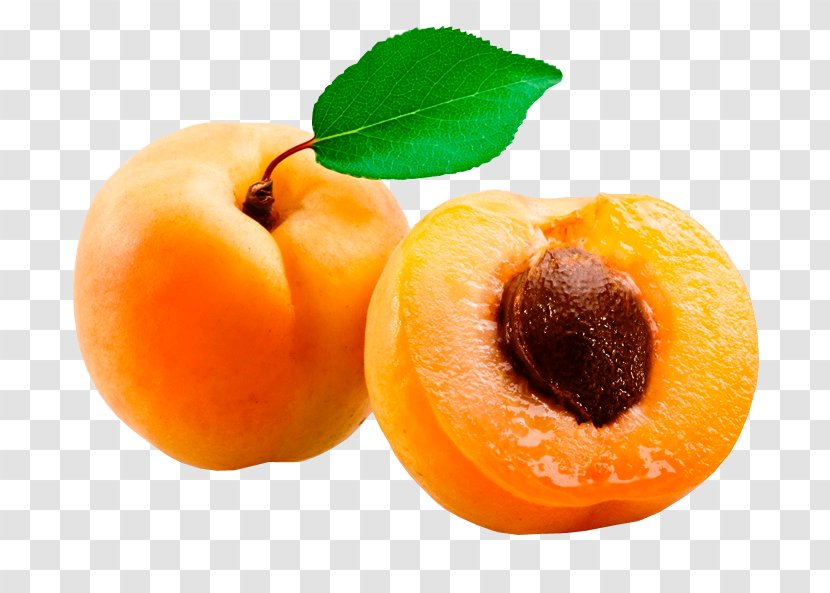 Apricot Kernel Fruit Noyau Amygdalin - Dried - I Transparent PNG