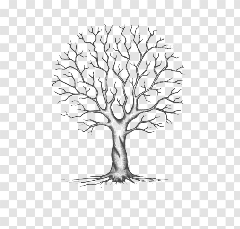 Download Palm Tree Drawing Trees Coloring Book Twig Transparent Png