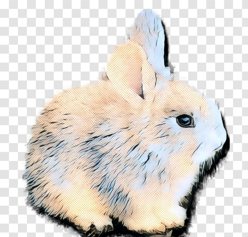 Domestic Rabbit Hare Fur Whiskers - Fauna Transparent PNG