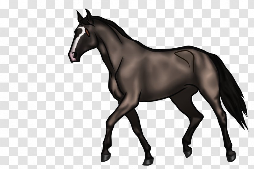 Foal Mane Mare Mustang Stallion - English Riding - Shading Style Transparent PNG