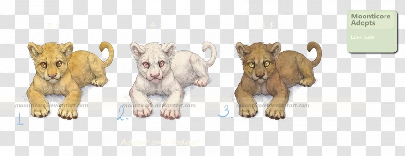 Dog Breed Lion Cattle - Indian People - Cub Transparent PNG