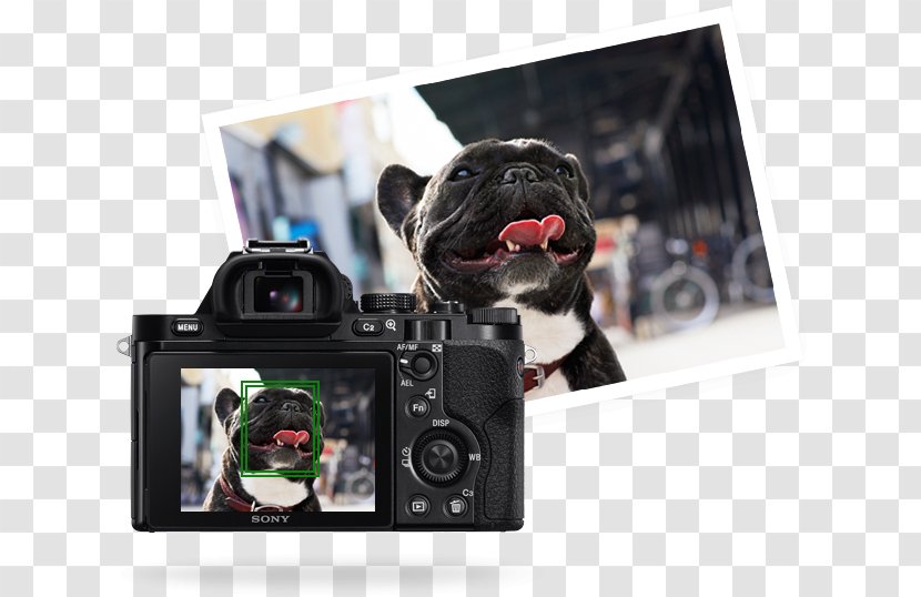 Sony Alpha 7R α7 Camera Lens Full-frame Digital SLR - 7r Transparent PNG