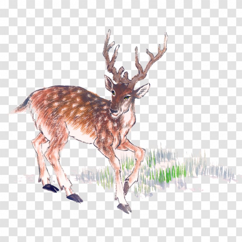 Deer Chinese Painting Ink Wash - Organism Transparent PNG