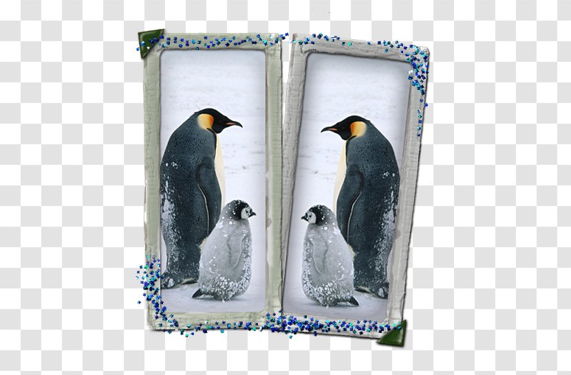 Penguin IPhone XS 6 Plus XR - Fauna - Feel Transparent PNG