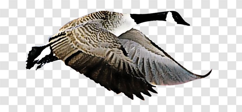 Bailu Liqiu Solar Term Lichun Autumn - Ducks Geese And Swans - Creative Antiquity Crane Transparent PNG
