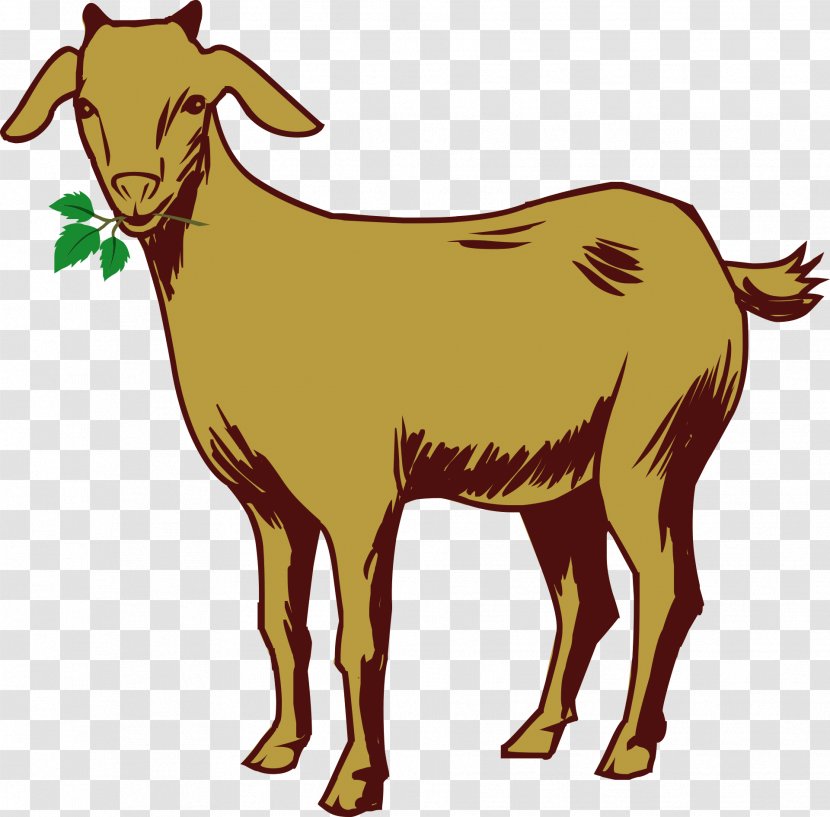Kinder Goat Sheep - Animal Transparent PNG