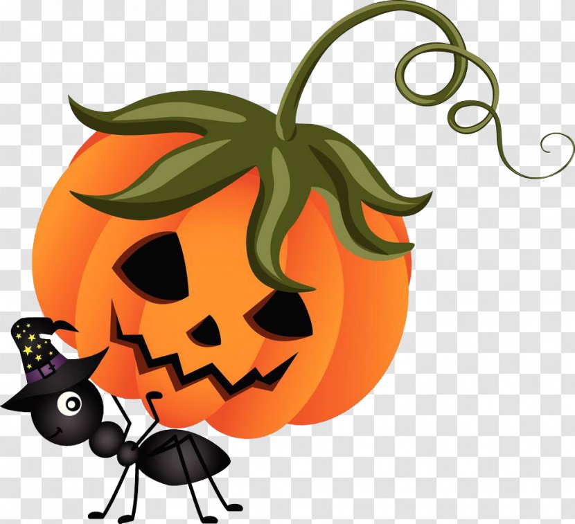 Jack-o'-lantern Pumpkin Vector Graphics Halloween - Calabaza - Kabocha Transparent PNG