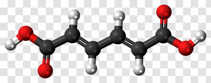 Adipic Acid Dicarboxylic Muconic Essential Amino - Succinic - Diprotic Transparent PNG