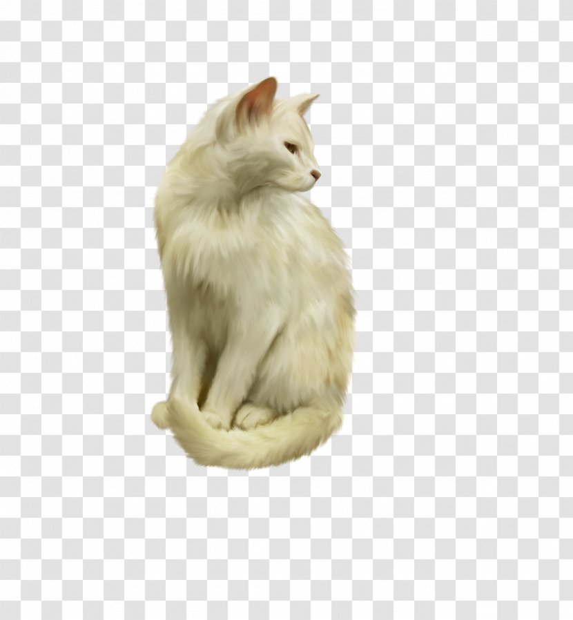 Turkish Angora Van Feral Cat Kitten Animal Transparent PNG