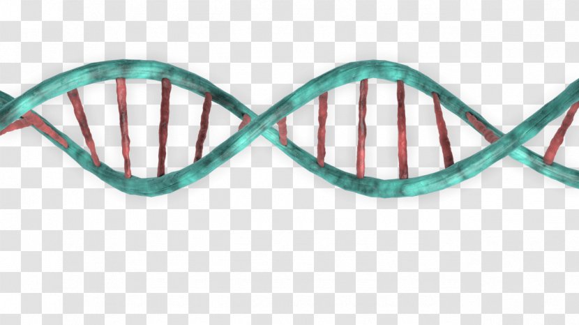 DNA Three-dimensional Space Stock Photography - Material Transparent PNG