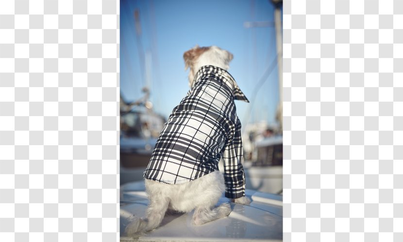 Dog Clothes Tartan Snout Clothing Transparent PNG