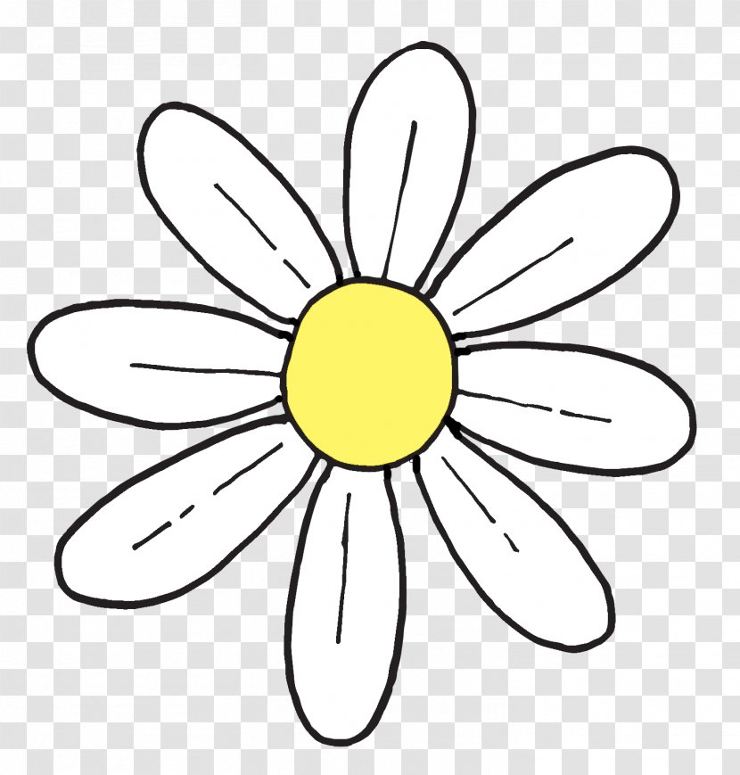 Common Daisy Flower Clip Art - Plant Stem Transparent PNG