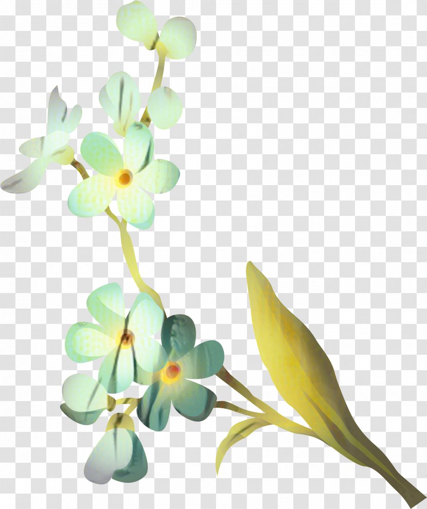 Moth Orchids Cut Flowers Floral Design Plant Stem - Orchid Transparent PNG
