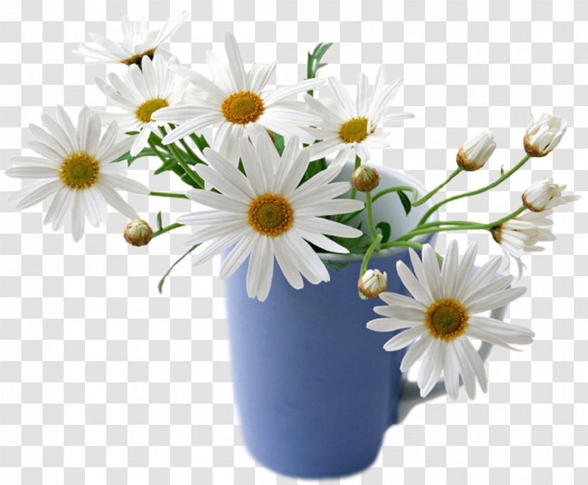 Flower Desktop Wallpaper Common Daisy Rose White - Good Morning Transparent PNG