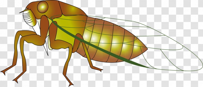 Insect Cicadas Ant Clip Art - Invertebrate - Cartoon Insects Transparent PNG