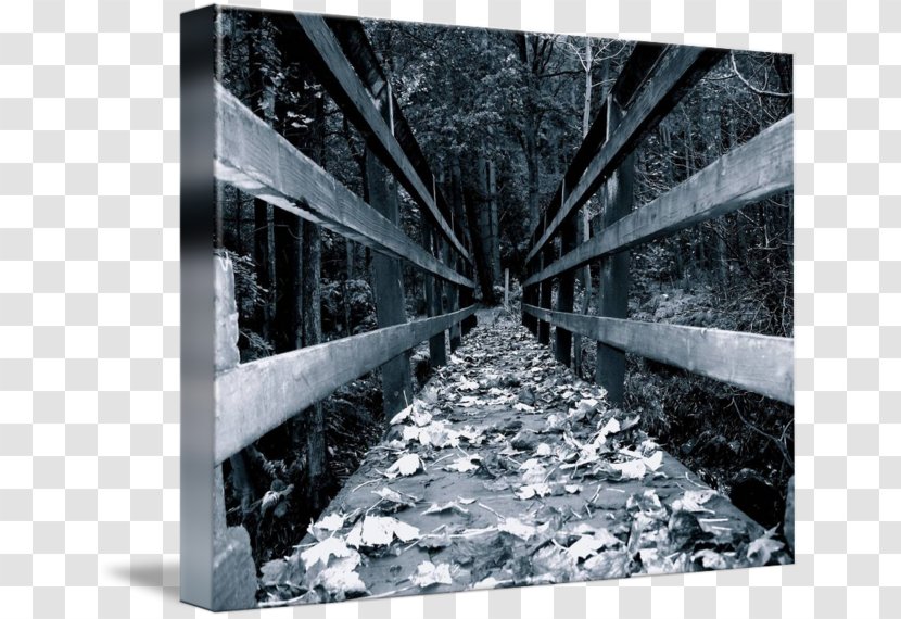 Gallery Wrap Canvas Tree Wood Winter - Snow - Bridge Forest Transparent PNG