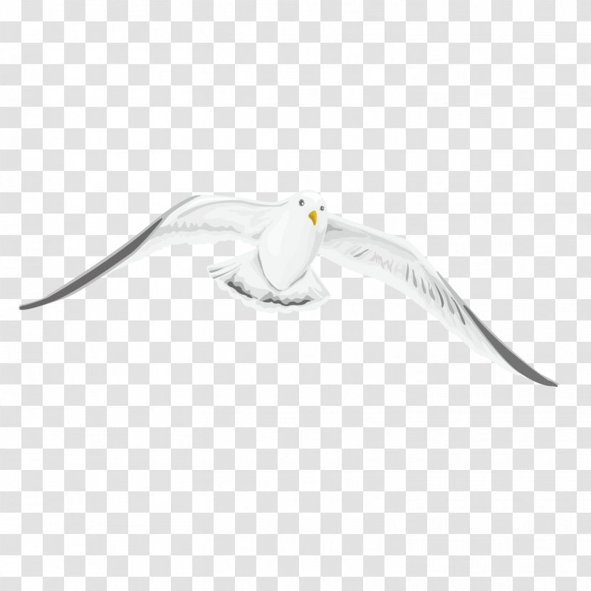 Beak Pattern - Bird - Vector Flying Pigeon Transparent PNG