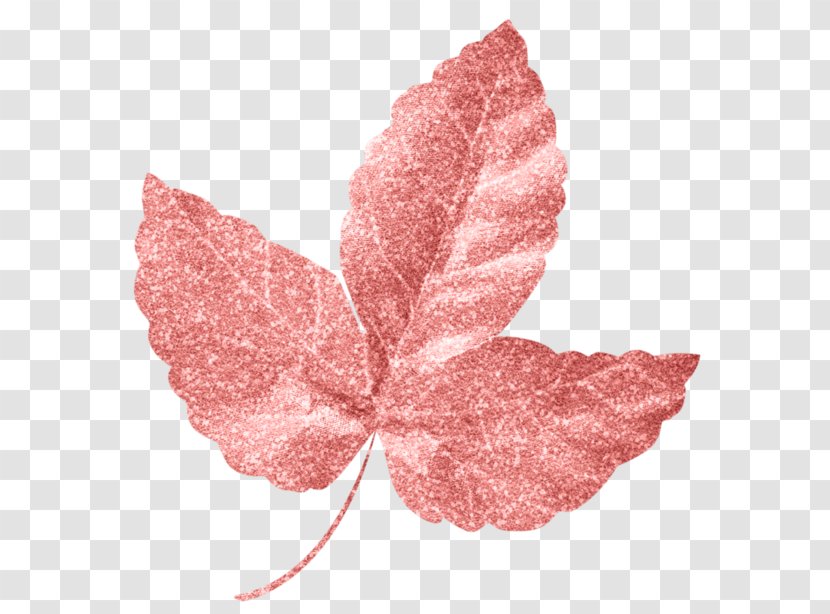 Pink M - Floating Leaves Transparent PNG