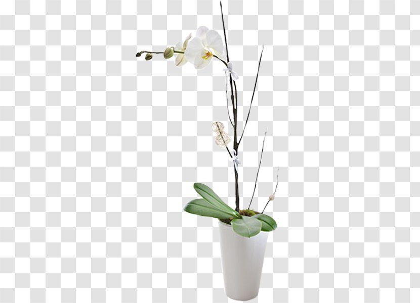 Floristry Moth Orchids Flower Bouquet - Flowerpot Transparent PNG