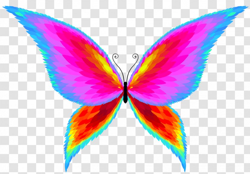 Butterflies And Moths Drawing - Pencil - Petal Transparent PNG