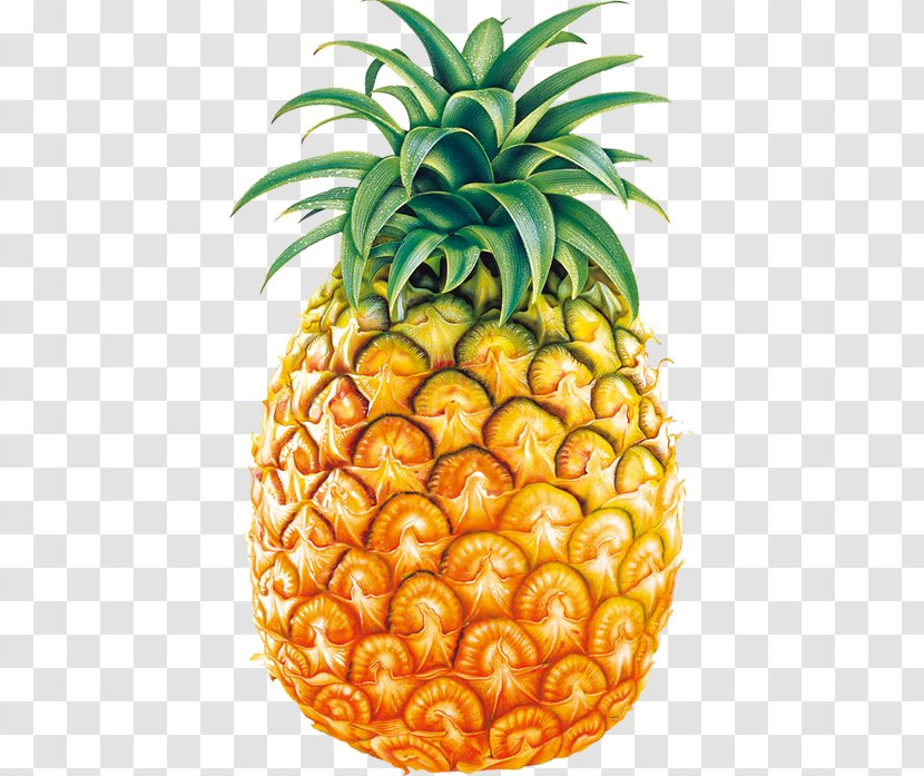 Juice Pineapple Clip Art - Ananas - Fruit Transparent PNG