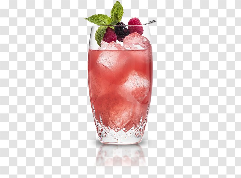 Cocktail Garnish Cointreau Rickey Elderflower Cordial - Fruit - Cranberry Juice Transparent PNG