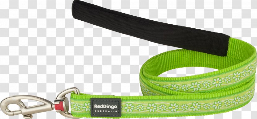 Leash Dog Collar Dingo Harness - Fashion Accessory Transparent PNG