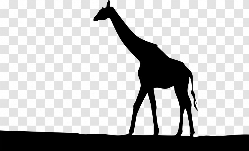 Giraffe Silhouette Clip Art - Africa Transparent PNG