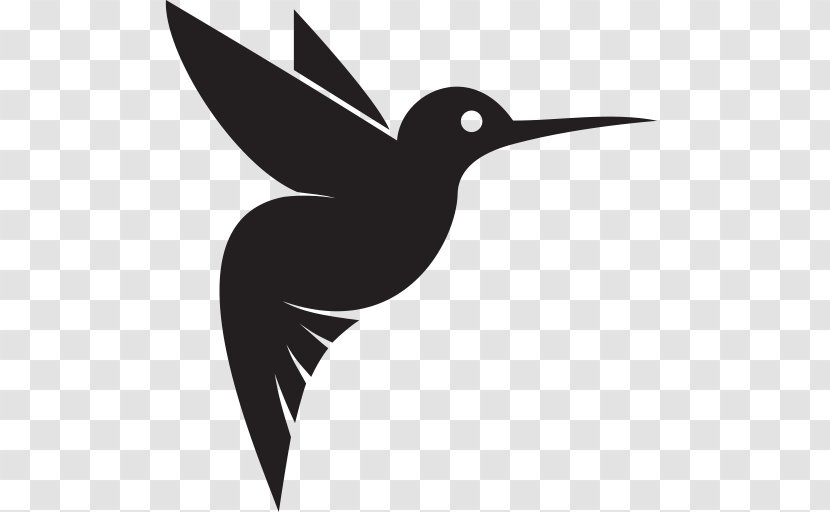 Google Hummingbird Clip Art - Tail - Bird Transparent PNG