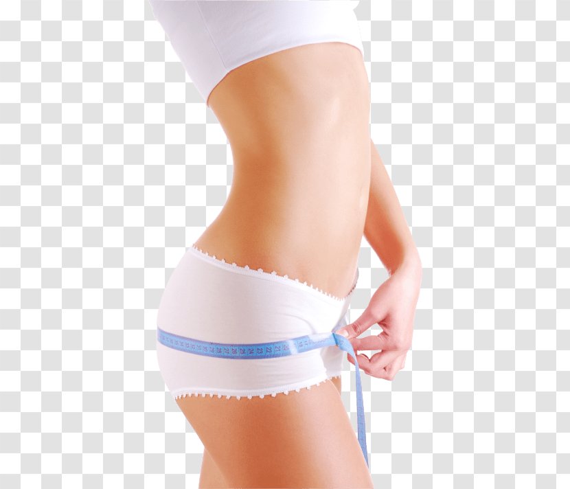 Health Human Body Weight Loss Female Shape Contouring - Cartoon Transparent PNG