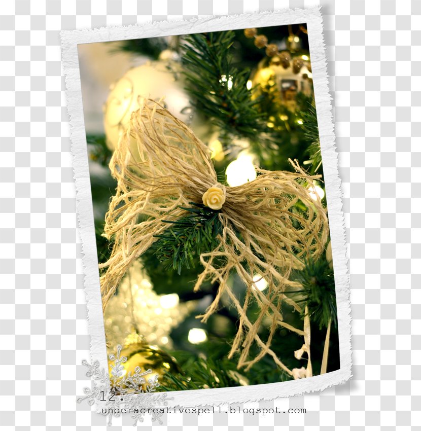 Christmas Ornament Branching - Decoration Transparent PNG