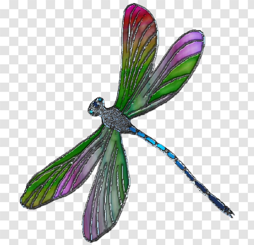 Dragonfly Butterfly Insect 2M Wing - Purple Transparent PNG