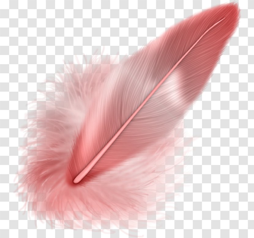 Feather Download Clip Art - Upload Transparent PNG