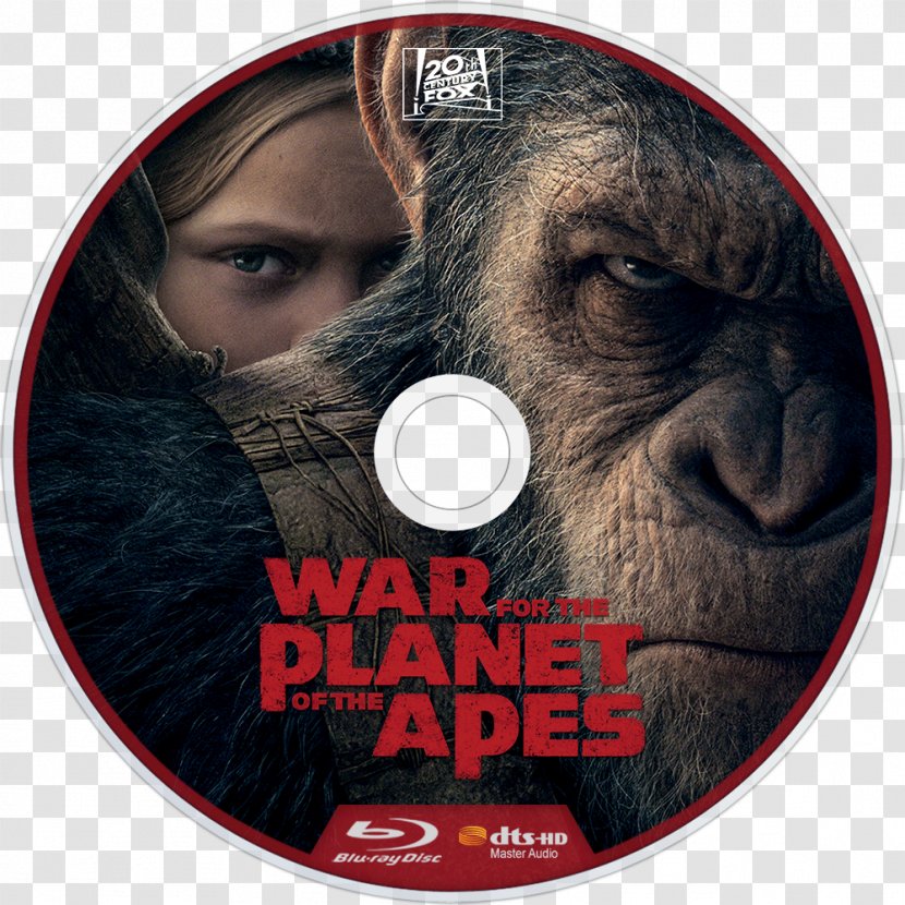 Planet Of The Apes Film Thriller Actor 4K Resolution - Rise Transparent PNG